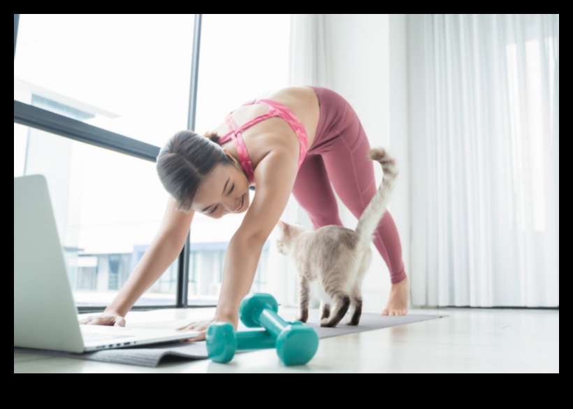 Kitty Yoga: Încorporarea întinderii și exercițiilor fizice în rutina pisicii tale