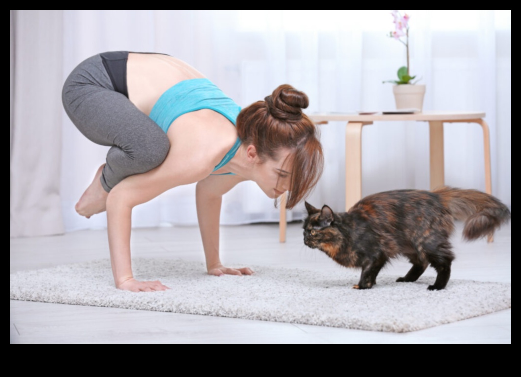 Kitty Yoga: Încorporarea întinderii și exercițiilor fizice în rutina pisicii tale