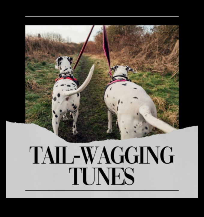 Melodii care dau din coadă: crearea unei liste de redare pentru câinele dvs