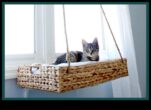 Paturi DIY pentru pisici creând spații confortabile de dormit pentru pisica dvs